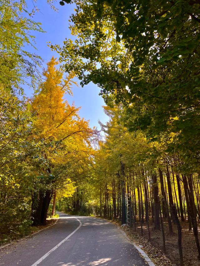 此刻的临沂，把清欢藏进风景里