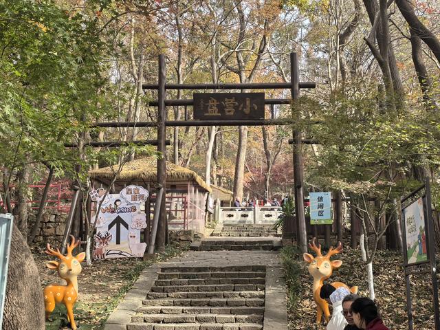 南京栖霞山一日徒步，游千年古刹，看漫山红叶