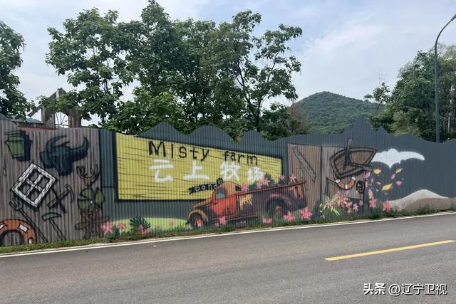 沈阳周边隐藏的“小阿勒泰”！市内出发一小时直达的云端秘境，还有高山草甸+萌宠乐园
