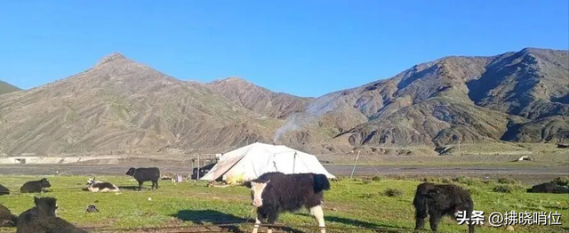 1800公里路，风雨、人心与岁月回响——雷永年《初上阿里》（五）