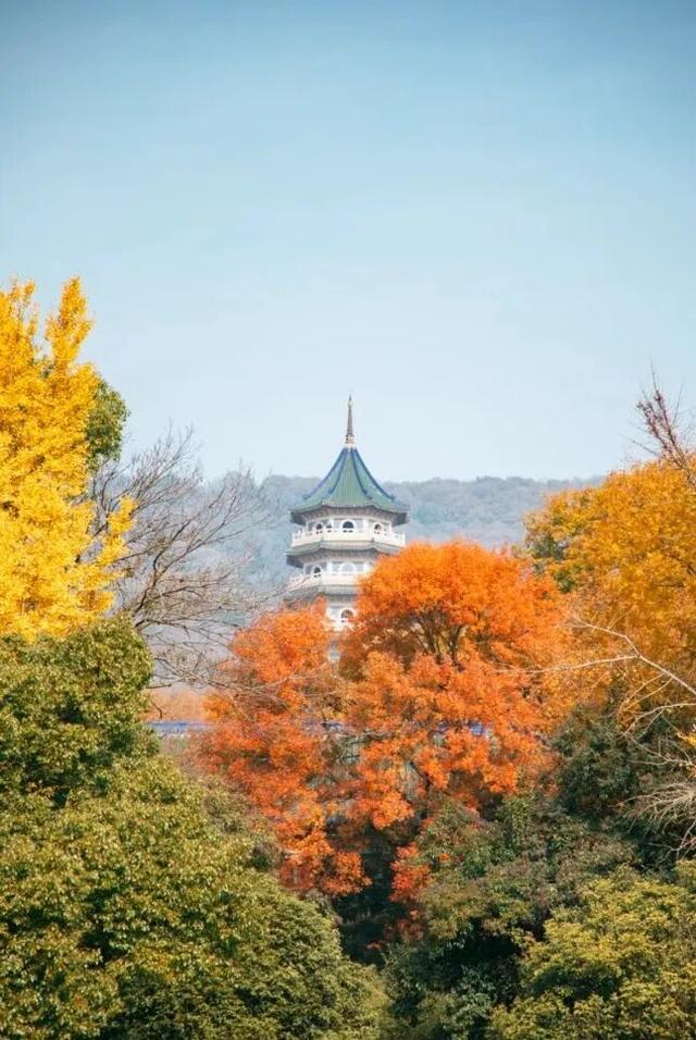 高铁1h！比西安秀美！这座千年古都秋色绝了！高光仅20天！