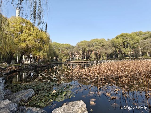 大媛随笔｜秋游唐山