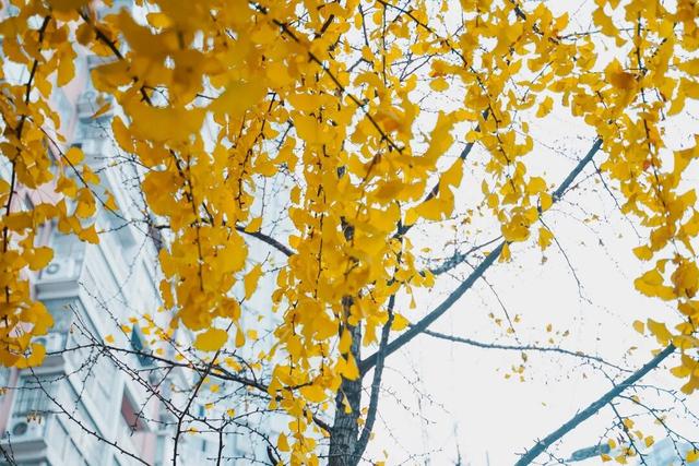 突然爆火！达州这条街太哇塞了……