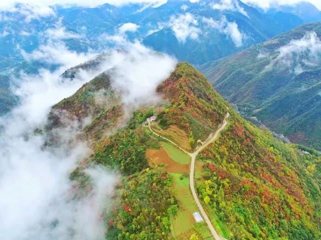 接下来的一个月，来汉中赏红叶就对了