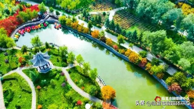 飞阅花都④丨漫步东郊公园 邂逅秋日风光 静享“天然氧吧”