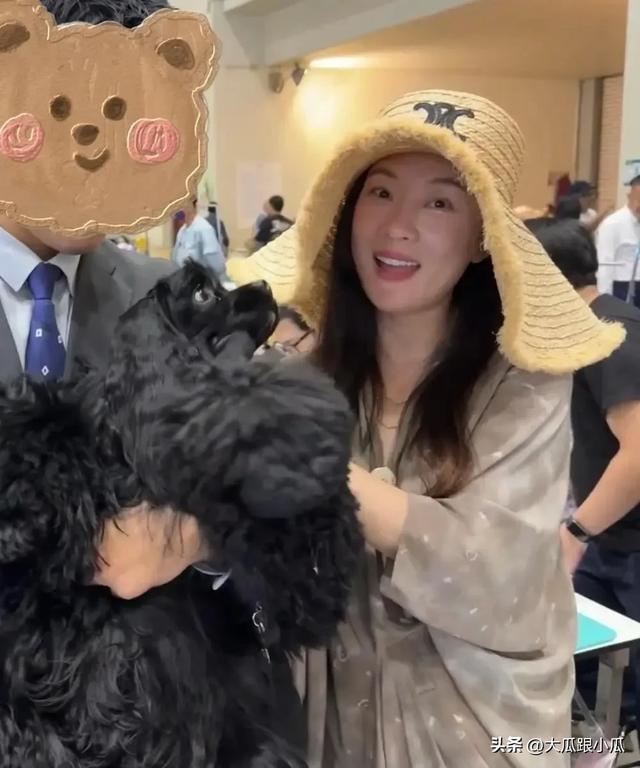 杜江夫妇带狗狗比赛，霍思燕穿抹胸裙，网友称：胸快到肚子了