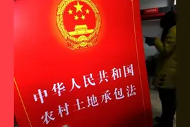 2025年农村耕地征收政策与补偿标准图片