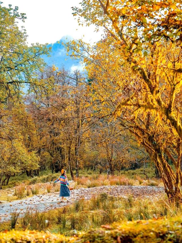 喇叭河五彩斑斓的秋天，就这样闯闯闯入视野！