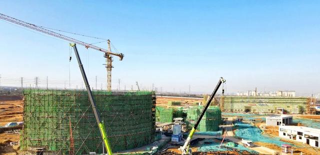 上新！好美！洛阳新晋网红打卡地+1+1+1