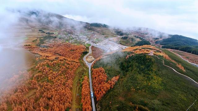 凉山金阳：彩林秘境初冬上线 层林尽染惊艳时光