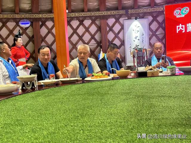 呼伦贝尔大草原，绿浪翻涌似无边绒毯，洁白云朵悠悠飘荡。