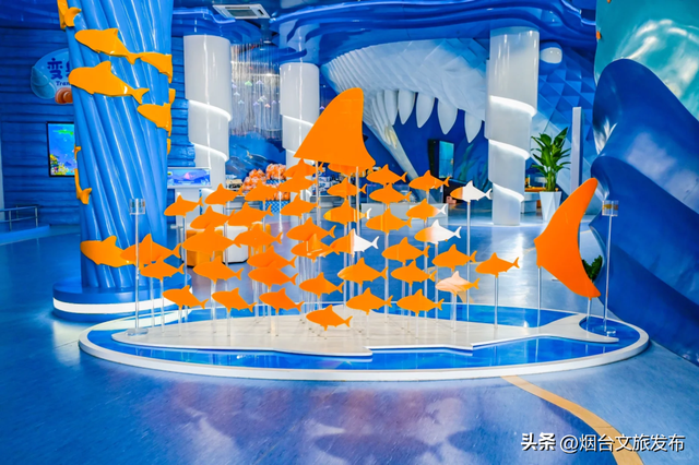 【乐游烟台】烟台莱山“球迷景区VIP通道”已开启：一票通玩鲸鲨、泵道、山顶夜景！