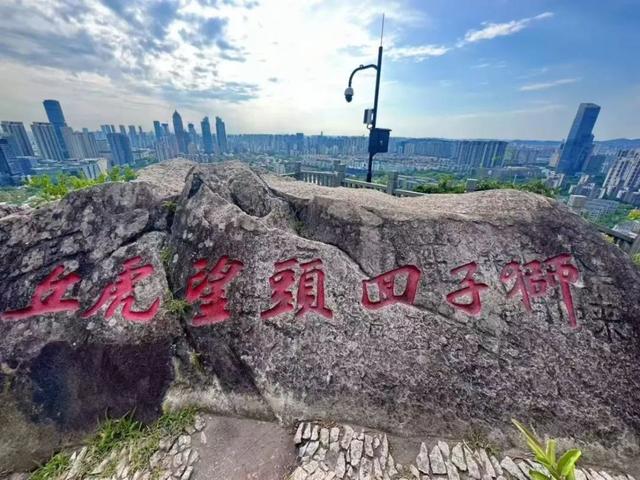 从狮子山到博物馆，苏州人“晨”会玩