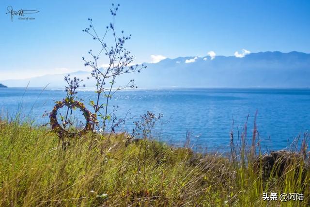 秋风渐起天气转凉，没事千万别来洱海边瞎逛，因为会被美哭的