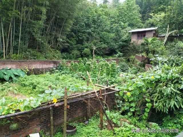 张效雄 闲说湘菜155 桂东农家民宿品土菜