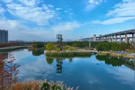 向绿而行——长江畔的四个“生态”故事图片