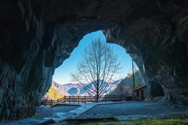 世界自然遗产、物种基因库、北纬31°绿色奇迹——神农架旅游攻略