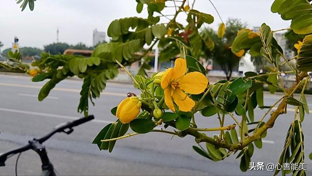 我这么爱你，你也爱我吗