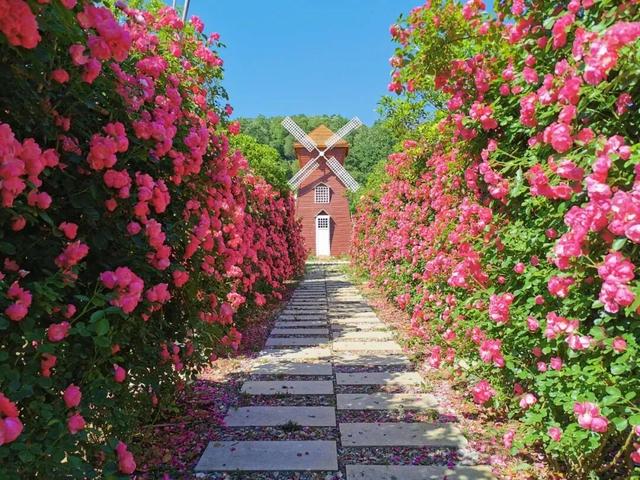 徽县“衣”秒换装！暖乎乎超治愈～