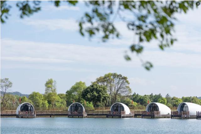 【萌狮叫醒服务】上线！快来给“最萌查房官”取个神仙名字吧！