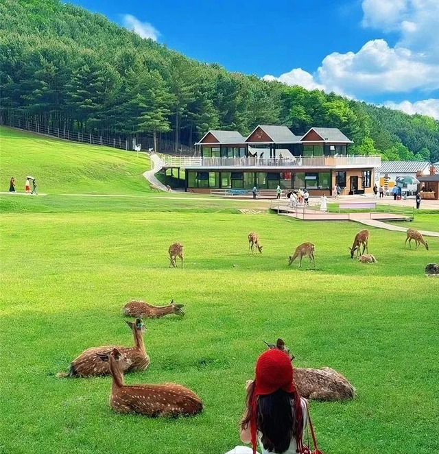 8-9月最凉快的6个避暑胜地，均温20℃+ 忙累了，就挑一个去小住三五天！