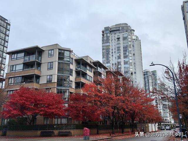 温哥华游记（六）