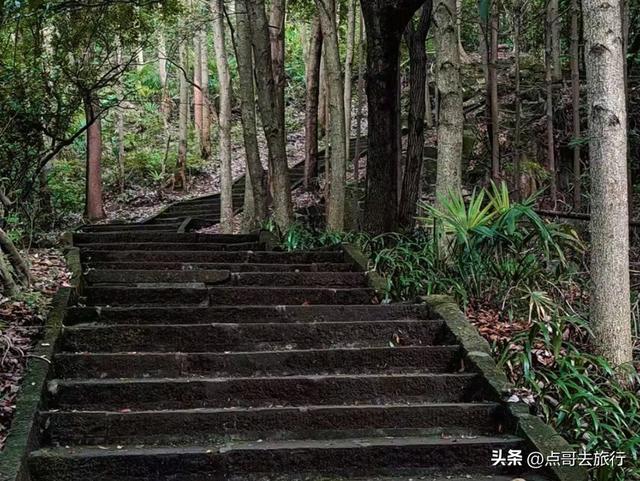 成都龙泉森林徒步路线，被严重低估，不要门票，拍照超级出片！