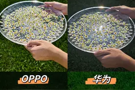 四个品牌手机拍照对比，差距真的很明显！图片