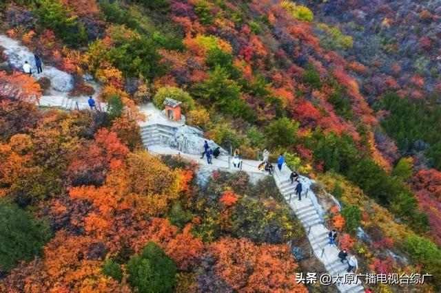 别再刷崛围山红叶图了！亲自去触摸红林间的千年时光，才够劲