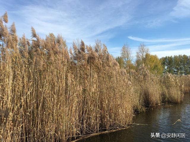 深秋之游——五大连池，因为它的博大，才有苍凉之美的深远