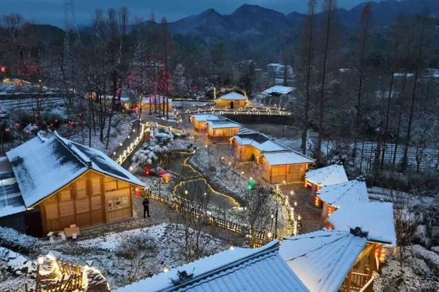 三场大戏+五大活动，宁强元旦狂欢倒计时！