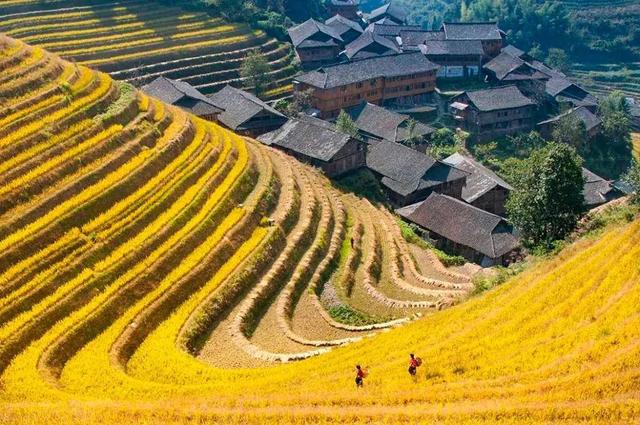 闯入千年侗寨：一场会唱歌的旅行，让灵魂被梯田与芦笙治愈！