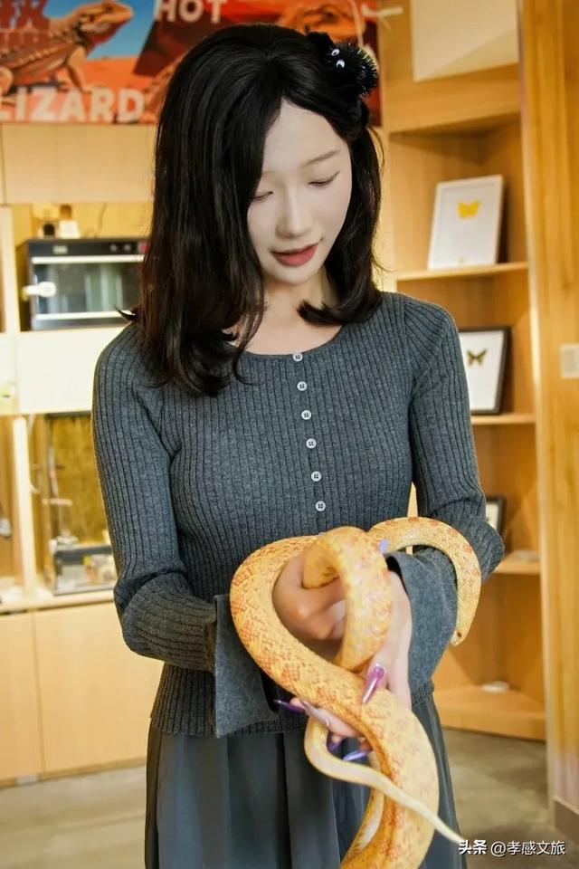 摸爬宠、探魔法，孝感这个一站式遛娃新地标诞生！