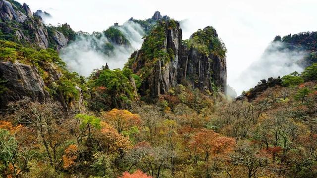 黄山秋景现场播报：云海“开挂”，秋色“沸腾”，抓紧冲