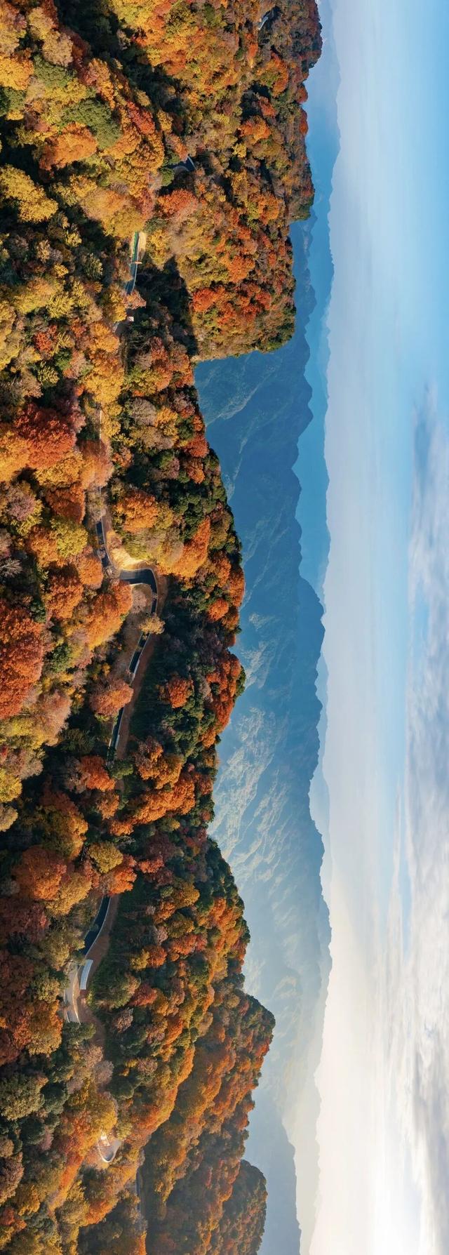 接下来旺苍的秋天，我真的好喜欢