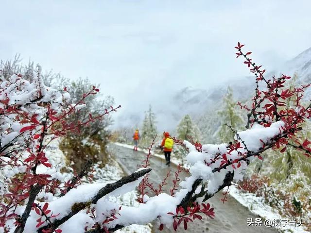 甲依拉措 ：一场白雪与彩林的盛宴