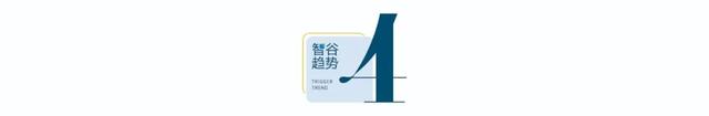 先是世界的，再是中国的！出海8090何以生而全球化？