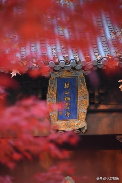 央视都报道了！南京栖霞山红叶美到出圈，出片率100%