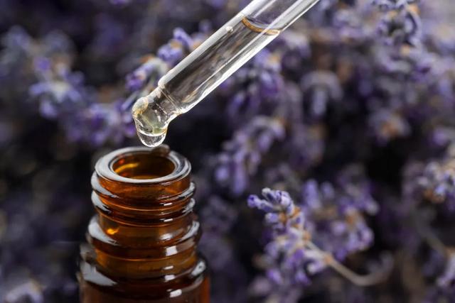 草原花海,塞外江南——超全新疆伊犁旅游攻略