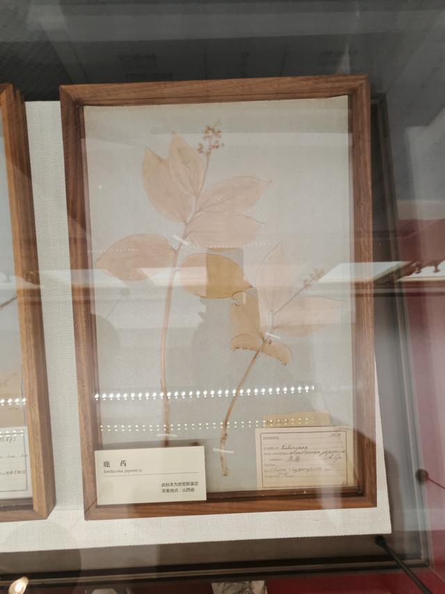 周末遛娃好去处