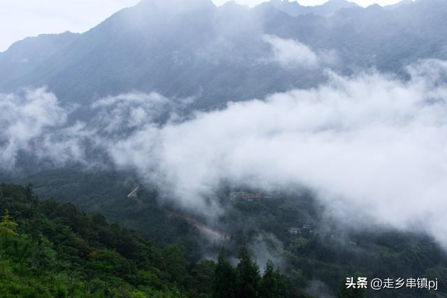 实话实说“大川”印象