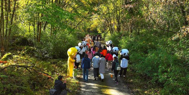 看满山红叶来这里，离广元2仅小时，3条线路任你玩，人少景美！