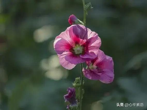 让找茬的人不敢惹你的6个绝招！
