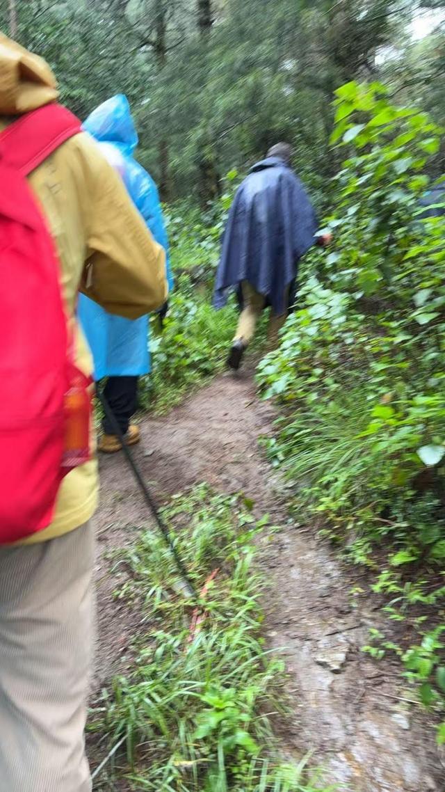 新进展！8岁男童苍山走失：定位器已找到，比孩子先丢，疑点重重
