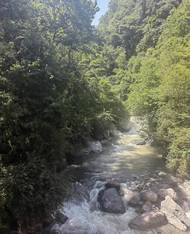绿意+山林+森呼吸，在黑竹沟景区，慢享夏日山林趣～