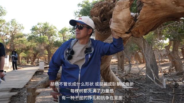 为什么是额济纳？——俞敏洪内蒙古行的终点与边疆文旅的新起点