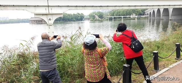 雨洗尘去 曲江池畔秋意正浓