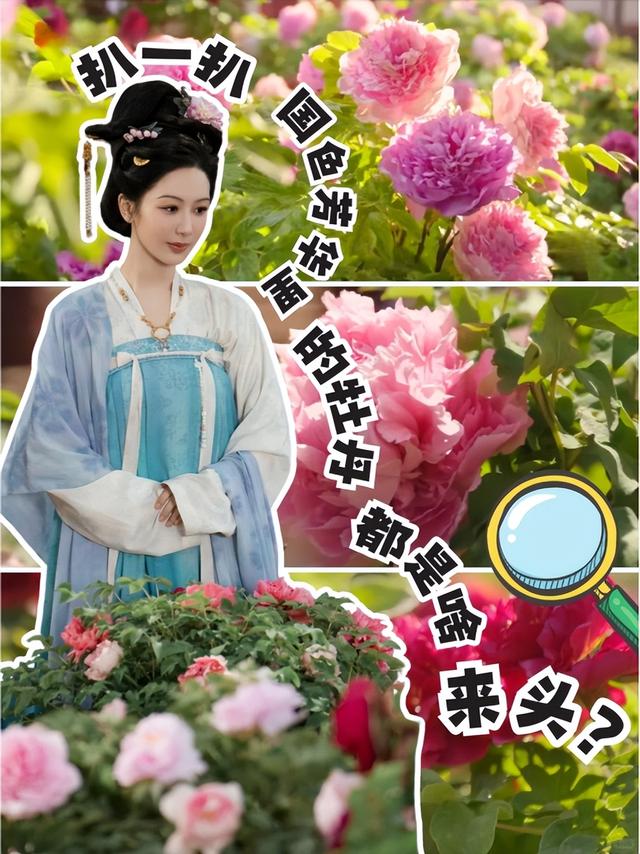 一场中秋晚会撬动的古城“常红”密码，藏着内容与文旅的双向奔赴