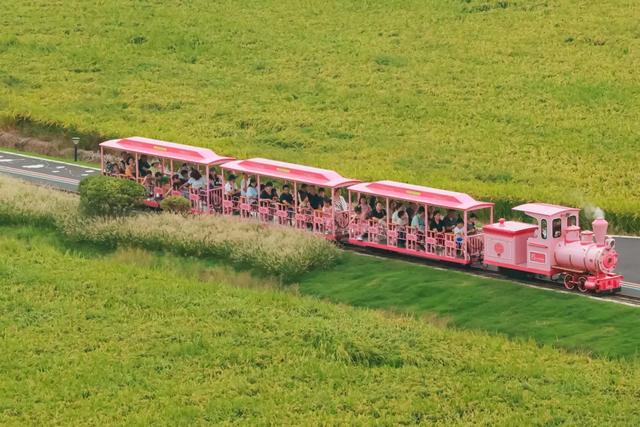 “太”好的地方，繁花开满“仓”！