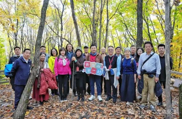 长白山第一村：赴一场秋日“参”宴